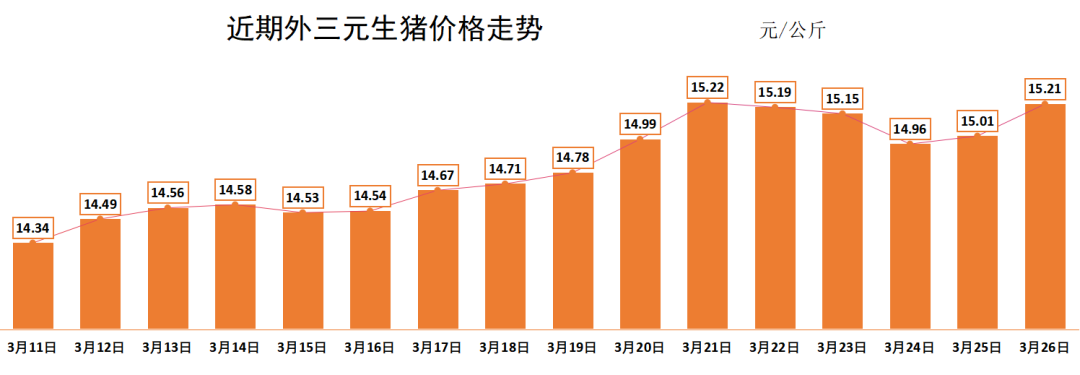 生豬最新豬價(jià)預(yù)測(cè)及趨勢(shì)分析與展望