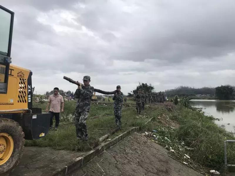 廣東臺風(fēng)最新動態(tài)，開平市受影響情況更新