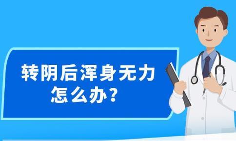 新澳精準資料免費提供最新版,綜合性計劃評估_SHD94.996