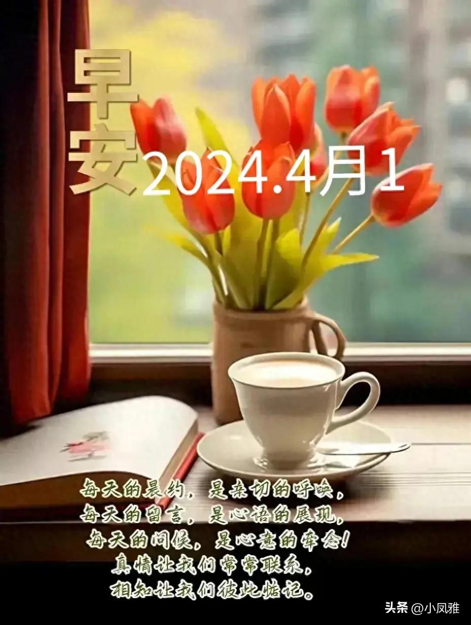 2024天天彩全年免費資料,最新核心解答落實_精裝版56.576