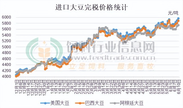 美國大豆最新價格動態(tài)解析