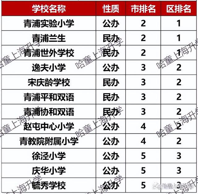 上海最新小學(xué)排名概覽，名校榜單及特色解析