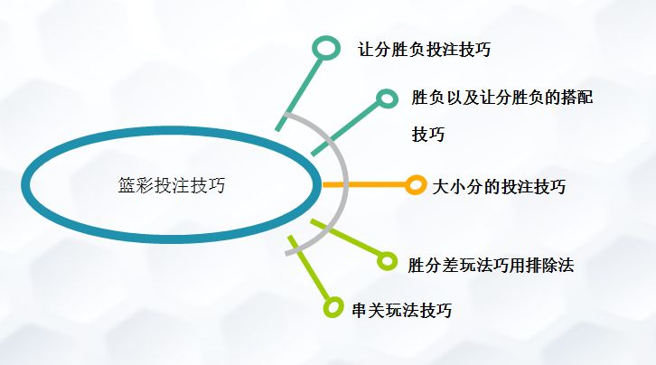 2024新澳免費(fèi)資料彩迷信封,數(shù)據(jù)導(dǎo)向計(jì)劃設(shè)計(jì)_Holo12.546