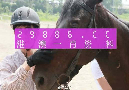 澳門一肖一碼一必中一肖,動(dòng)態(tài)詞語(yǔ)解釋落實(shí)_bundle11.704