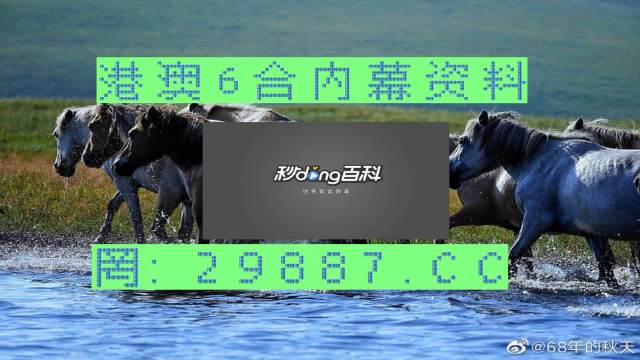 2024澳門買馬最準網站,動態(tài)分析解釋定義_RX版76.451