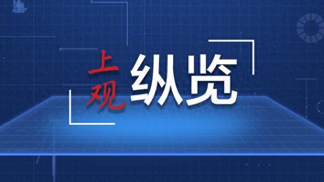 新澳精準(zhǔn)資料免費(fèi)提供50期,精細(xì)方案實(shí)施_Holo11.651