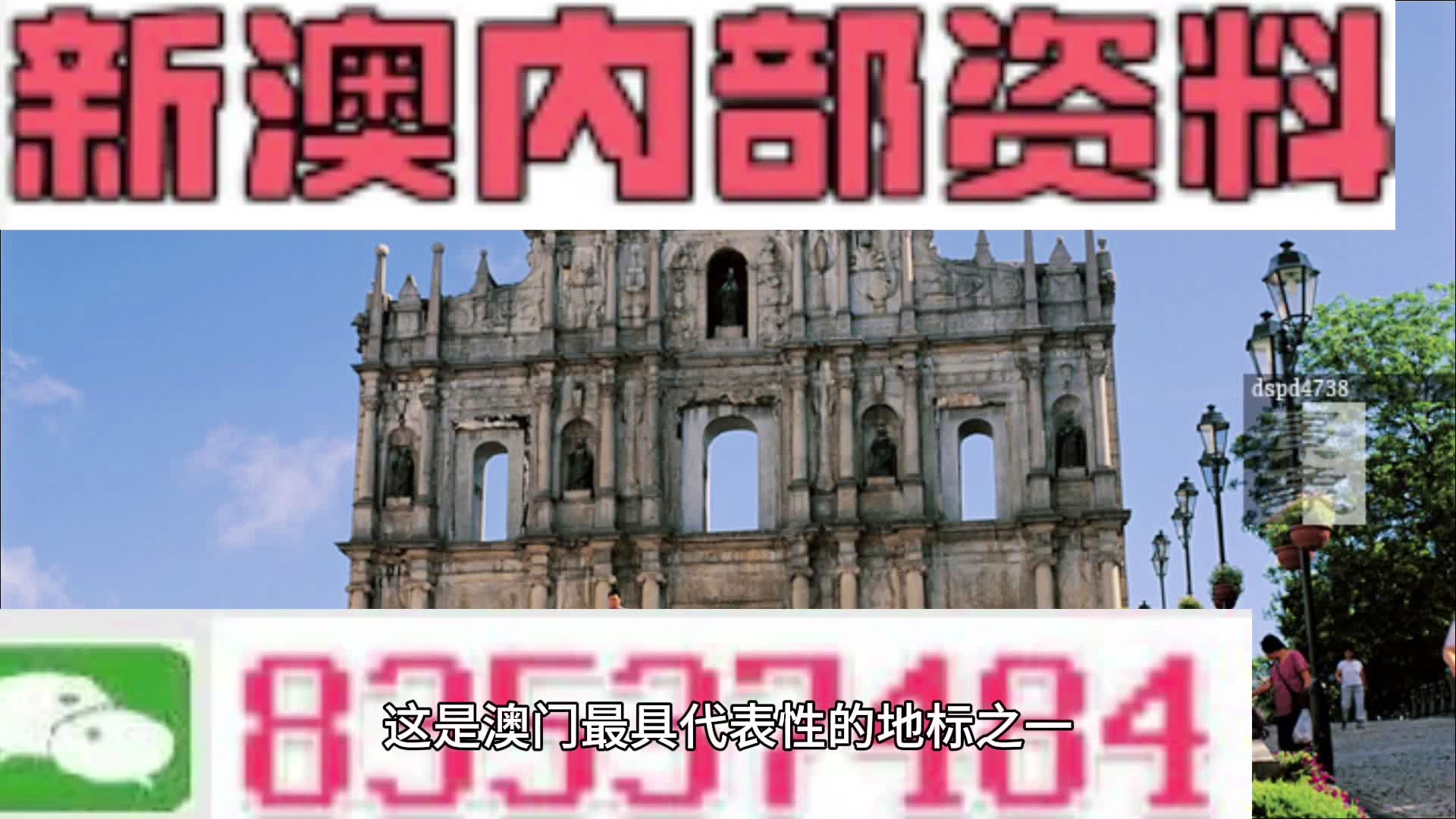 新澳精準(zhǔn)資料免費(fèi)提供208期,全面分析說(shuō)明_W38.452