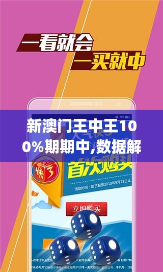 2024年新澳門王中王免費,調(diào)整方案執(zhí)行細(xì)節(jié)_X67.501