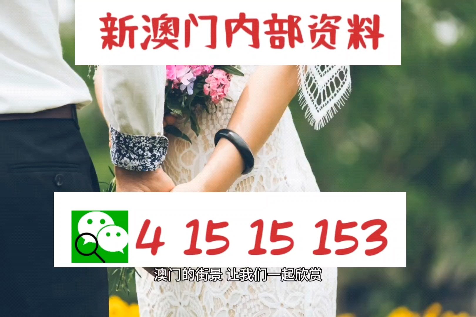 新澳門(mén)今日精準(zhǔn)四肖,動(dòng)態(tài)分析解釋定義_交互版135.887