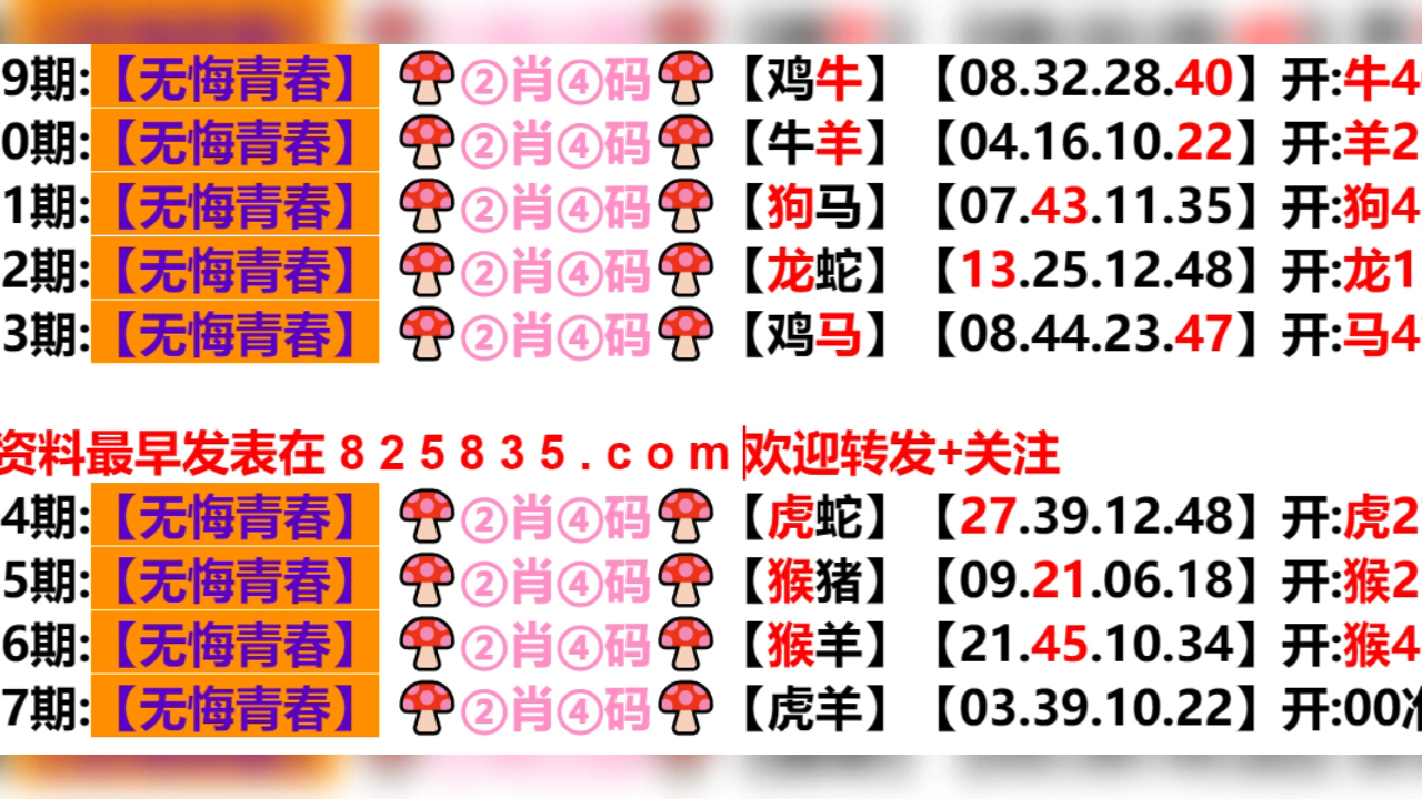 2024新奧歷史開獎結果查詢澳門六,最佳精選解釋落實_標準版78.67