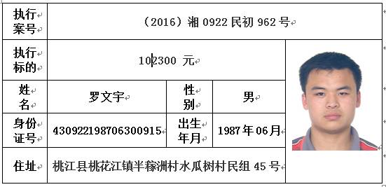 桃江最新招聘信息動(dòng)態(tài)及其社會(huì)影響綜述