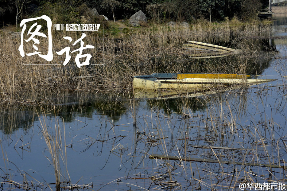 成都北湖公園全新風(fēng)貌與活動(dòng)火爆盛況