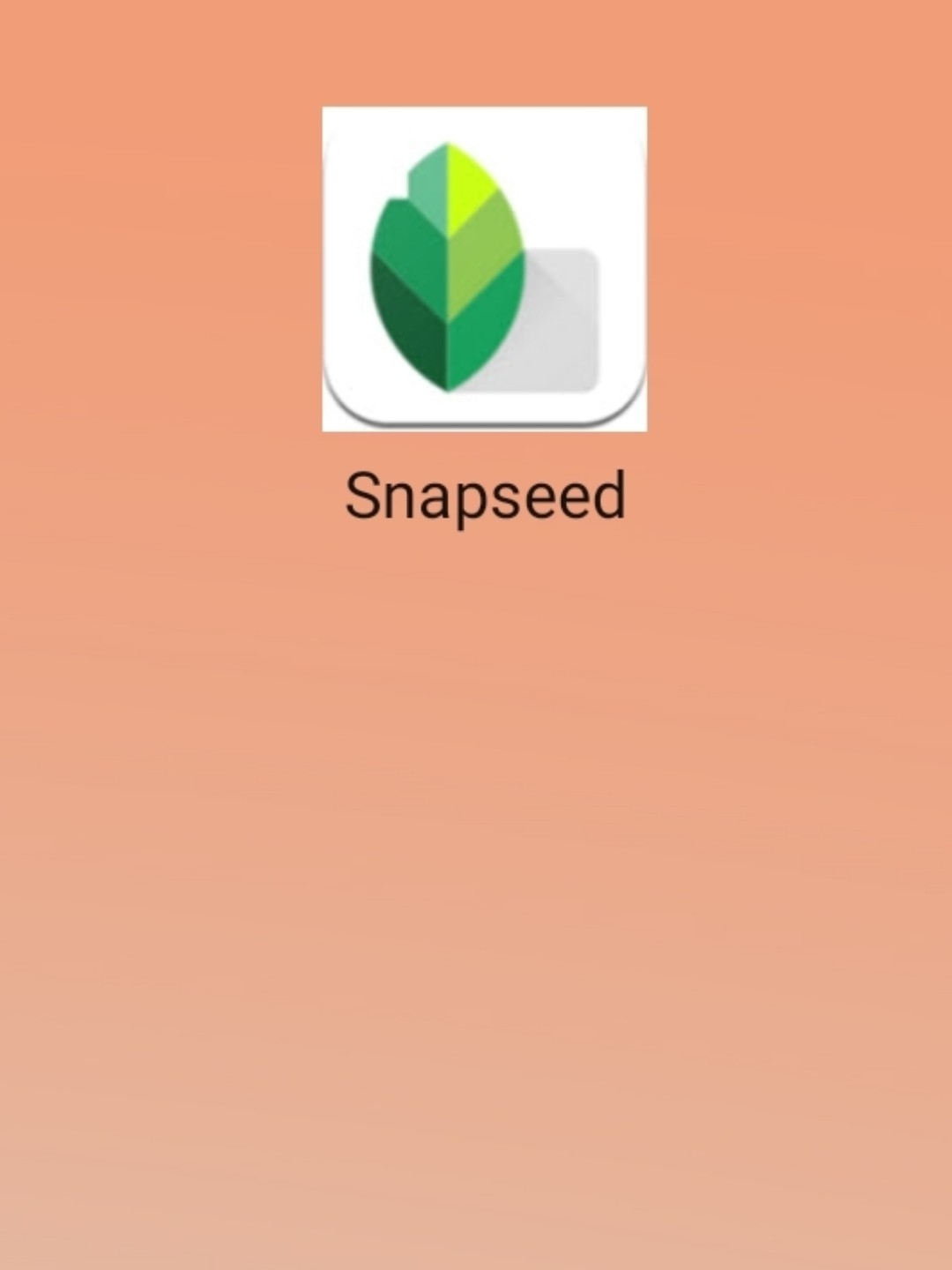 Snapseed最新版，開(kāi)啟專業(yè)攝影編輯新境界