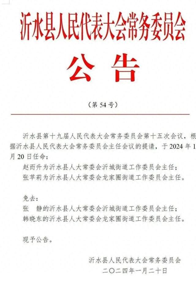 臨沂市外事辦公室人事任命揭曉，新篇章啟幕